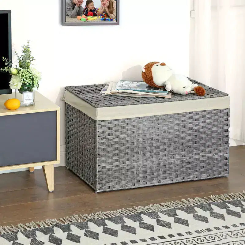 Cesto Portaoggetti con Coperchio, Cesto Portaoggetti da 160L (42.3 Gallon), Cesto Portaoggetti in Tessuto con Manici, Pieghevole, Fodera Rimovibile, Struttura in Metallo