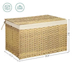 Cesto Portaoggetti con Coperchio, Cesto Portaoggetti da 160L (42.3 Gallon), Cesto Portaoggetti in Tessuto con Manici, Pieghevole, Fodera Rimovibile, Struttura in Metallo